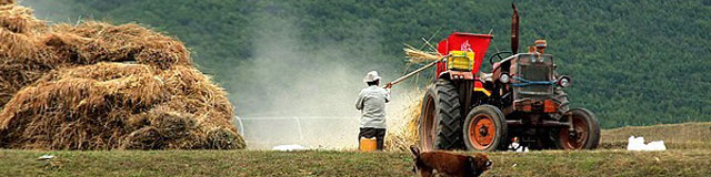 ۶۹۰ هزار تن محصولات زراعی توسط کشاورزان ورامینی تولید شد